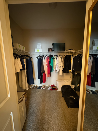 Walk in closet (will be cleared out for move in) - The Fitzgerald UB Midtown