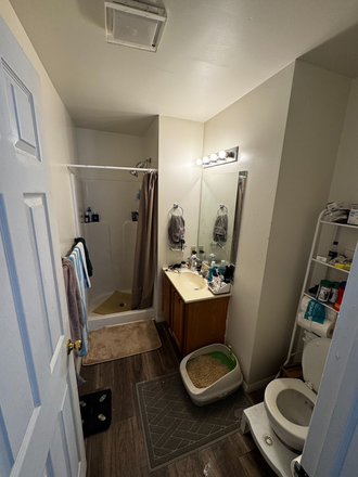 Bathroom - State College Collective Aaron I