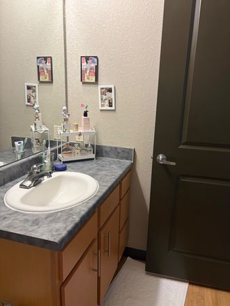 Private Bathroom and shower - Room For Rent [email removed] Apartments