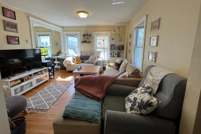 living room - Bright & Sunny 3 Bed / 1 Bath with private porch! Available 9/1/26!!