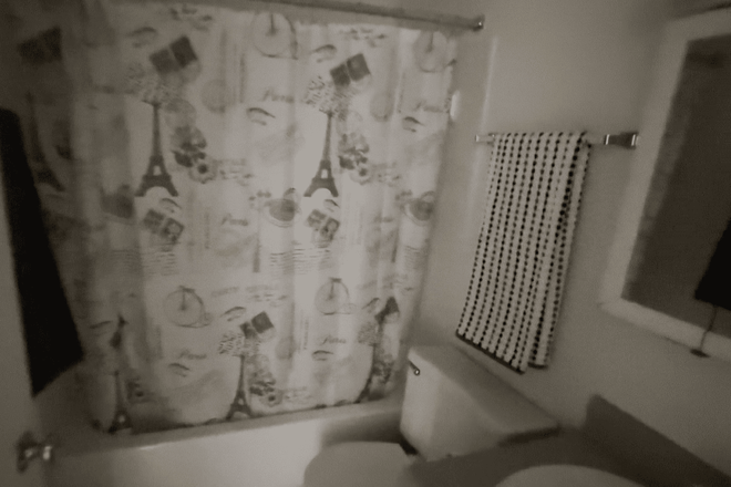 Bath - 2BR Okemos sublease available April 1 - June 30