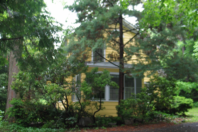 Wooded Lot - Beautiful Dutch Colonial House on Campus