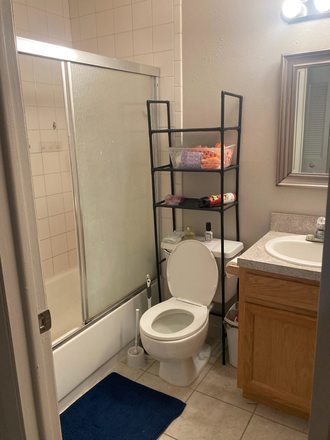 shared bathroom - Sundridge Palms room for rent Townhome