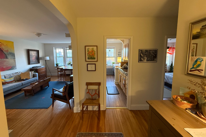 View of living room/kitchen/bedroom from foyer - Furnished, spacious, well-lit, quiet 1br apt short walk to Harvard Sq