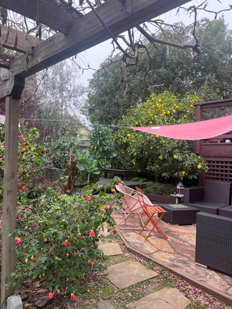 Gaden View from Cottage - Sweet Garden Studio Cottage