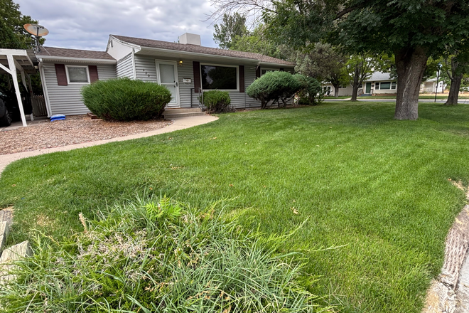 Front yard - 4 bed/ 2 bath house 4 blocks from campus