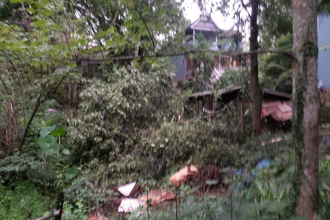 Backyard - Furnished 1 bedroom basement apartment with kitchenette