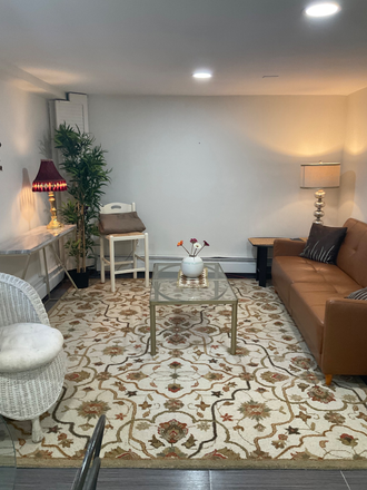 Living room - Furnished Apartment