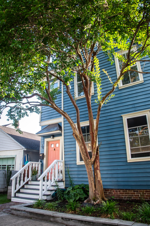 Charming downtown Charleston Single Home - 4BR/3BA Renovated Hampton Park Home | Minutes to MUSC