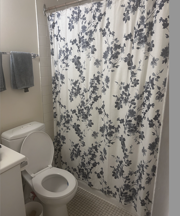 Bathroom - 1 Furnished Single Room, 100m from Subway at Yonge and Bloor, 10 month lease Apartments