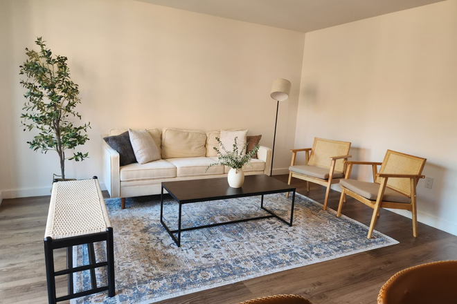 Living Room - Spacious, Sunlit Duplex in Soldiers Field Park — Walk to Harvard Square Duplex