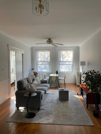 Living room - 2 bed 1 bath apartment in Cleveland Circle