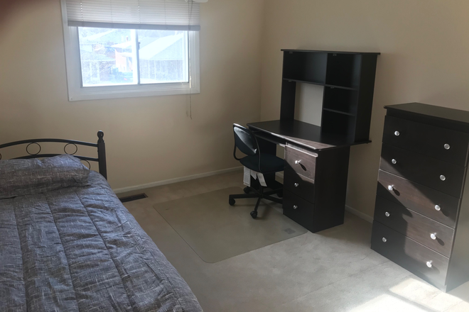 Bedroom furnished with bed, desk, chair, dresser, window, closet & extra large storage drawers under bed - All female university and college students.  Furnished.  Steps to Square One.  1 bus to UTM.