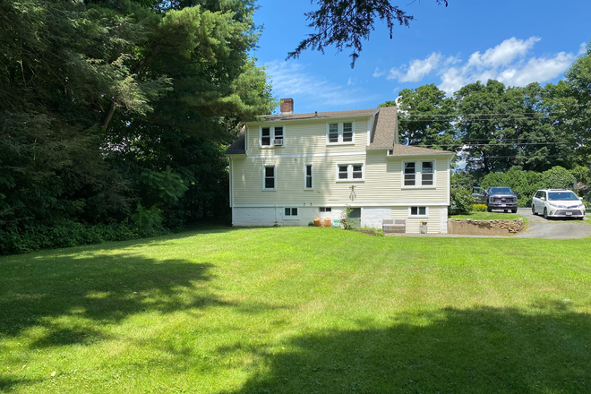 Backyard looking to kitchen, sunroom, 1st floor bedroom/bath - Sunny-der-land Cape, exceptional walkability, charming downtown, river and PVTA in steps House