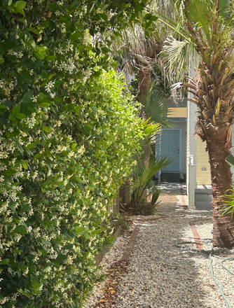 Walkway to guest house - Private guest house