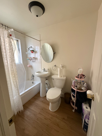 downstairs bathroom - 854 18th st