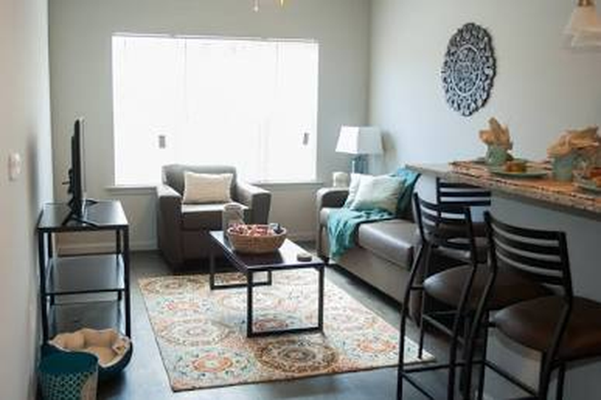 Example of living room - Bellamy Dahlonega 4x4 Room Apartments