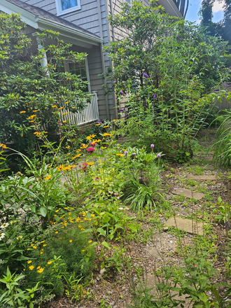 Pathway to your oasis - Charming Lower Level studio in a quiet part of Eastside. Less than 7 minute walk to Brown Campus House