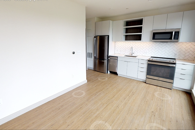 kitchen - Gorgeous, Renovated Studio / 1 Bath available NOW! Pet friendly! Apartments