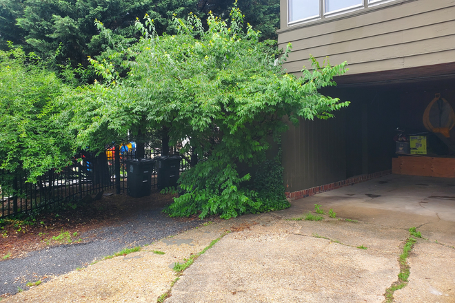 Covered Carport - 2bds 1ba Available in Home Close to Campus