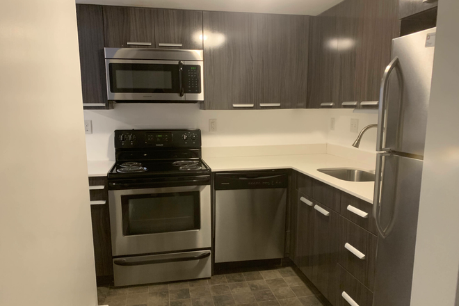 Kitchen - Centre St 1 Bed Newton Corner