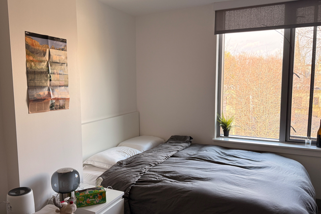  - Summer studio in Harvard Housing with A/C (5 Cowperthwaite, Harvard Sq)