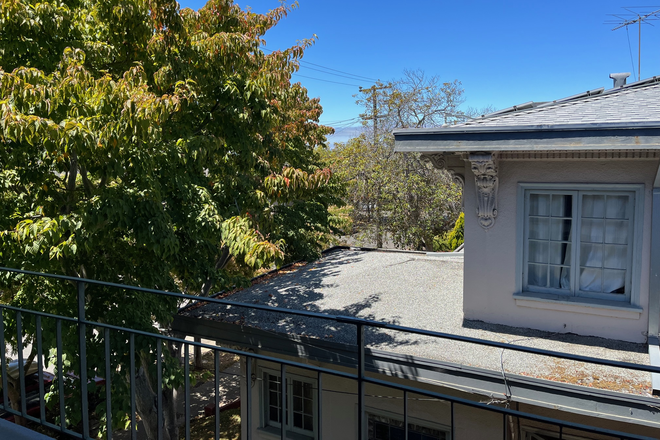 outlook from front door - Newly updated1BD/1BA apartment in the Elmwood close to UC, College Ave shops, restaurants, transit