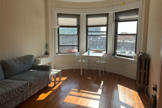 Living Room - Convenient Coolidge Corner Apartment