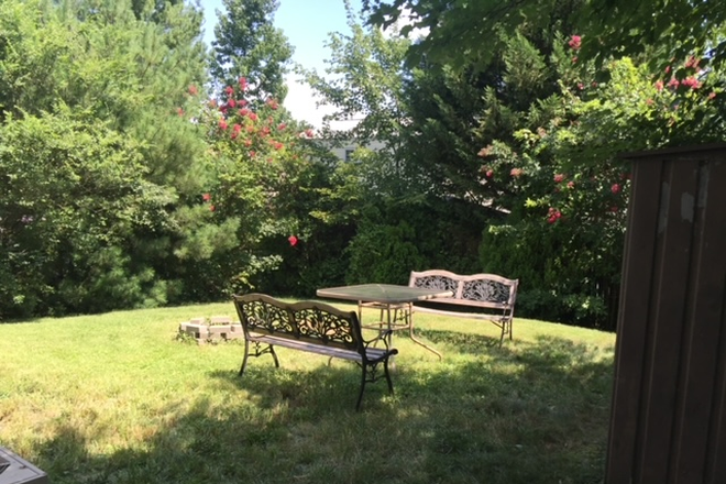 Backyard - 5 Bedroom House Less than 1 Mile from Campus! Available August 1, 2025! Looking for group of 4 or