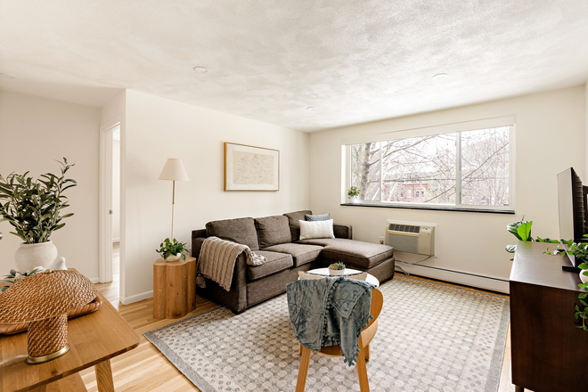 Living room - Fully Furnished Two-Bedroom Between Harvard & MIT Condo
