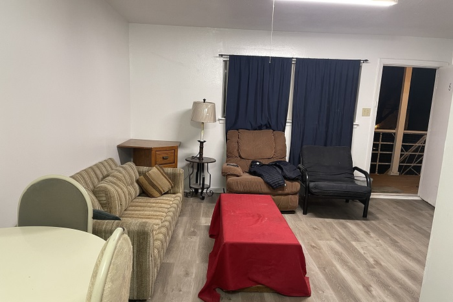 Large living room - 2 BR, 1-Bath furnished apartment 2.3 miles from Rice Univ and TX Med Center
