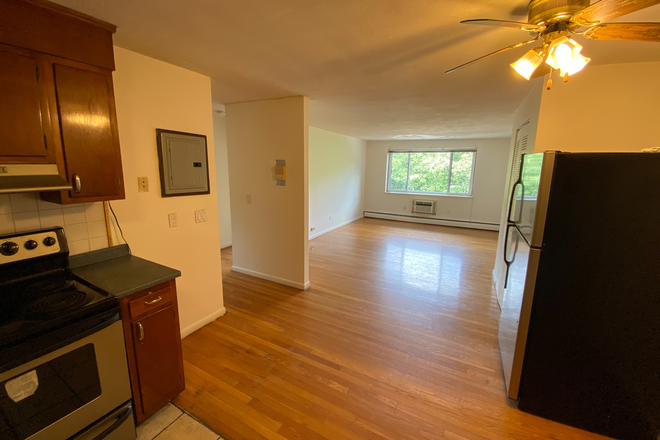 Kitchen and Living Room - Bright and Sunny Top FL 2 BR Apt in Longwood Medical Area, Brookline, MA