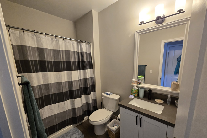 Bathroom - The Province Boulder