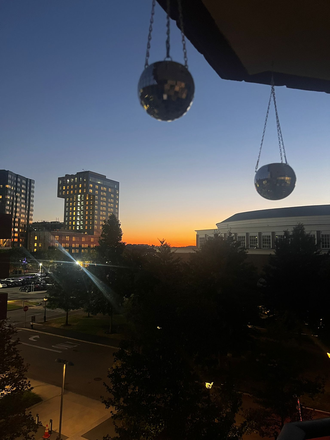 Sunset view from the balcony - 1 Bed in a 2 Bed / 2 Bath SFP2 apartment - HBS Campus