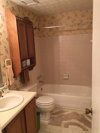 Guest bathroom - Tuxworth Springs Condos