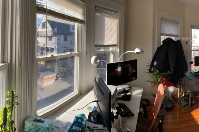 Living room - Beautiful Apartment in Wayland