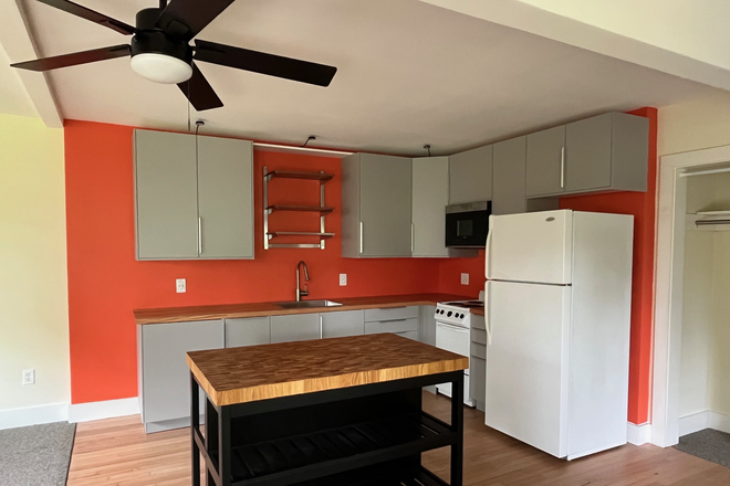 New Modern Kitchen & Island - Newly Renovated Studio Apt w/ Covered Deck  in Avondale (WA) - 4 mins to Dwntn Chasn