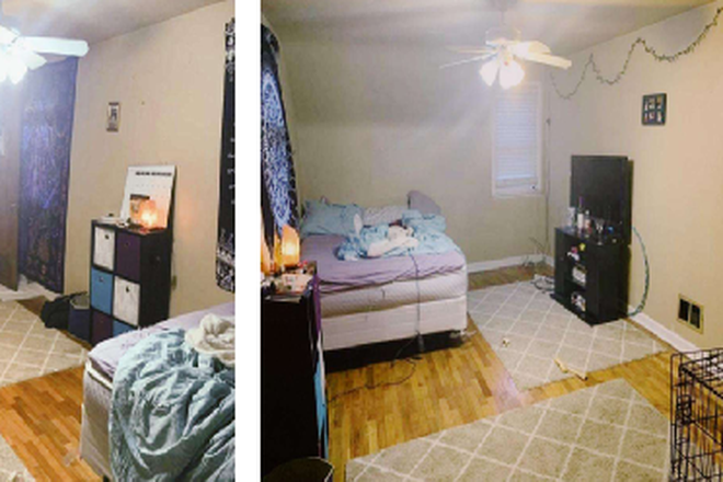 Various - 225 Milford East Lansing 15 Minute Walk to Most Classes, Parking House