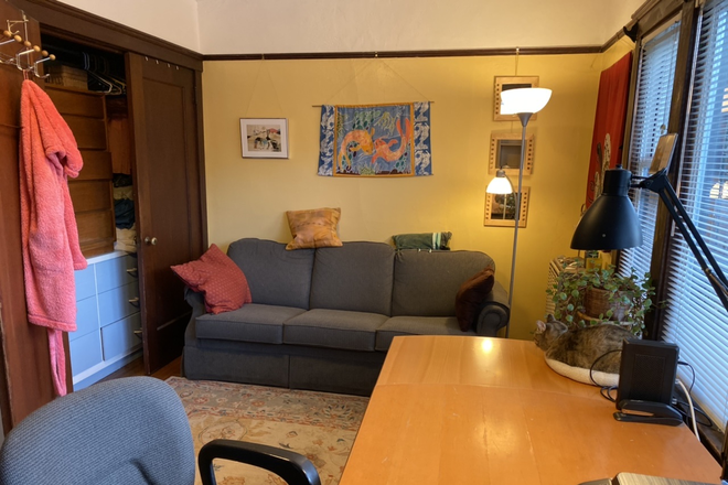your room with sofabed, desk & cat - Own big room in shared small house, nice yard, cats, 6 blocks from campus