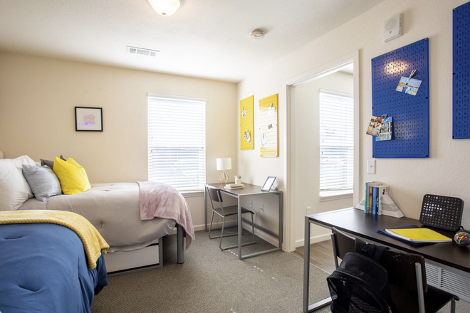 Bedroom - 3 Bedroom Lark Apartment: 1 BD/1 BATH FOR SPRING SEMESTER