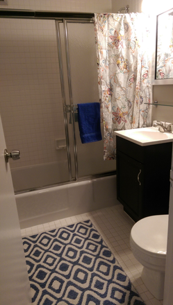 Bathroom (recently renovated with new floors, toilet, shower doors, and vanity) - Furnished Studio in Rosslyn Perfect for Visiting Professor, Research Fellow, Grad Student Condo