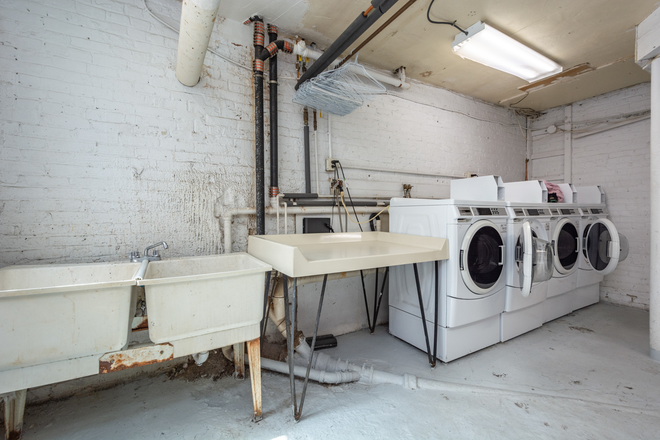 Laundry - Shared 3 bedroom apartment