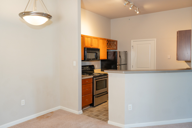 Living Room and Kitchen - Modern 1-Bedroom Condos for Rent in Walker Square – Steps from UVA Hospital