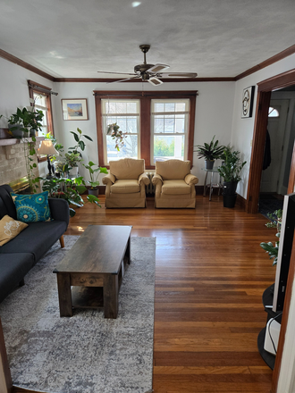 living room - (M) roommate sought in Belmont Apartments