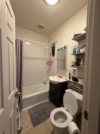 Bathroom - Seeking female sublet at Columbus Ave apt (<5 min from Notheastern)