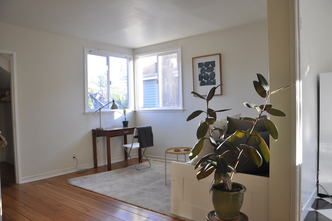 Living room / bedroom - Junior 1-Bedroom Apartment in North Berkeley