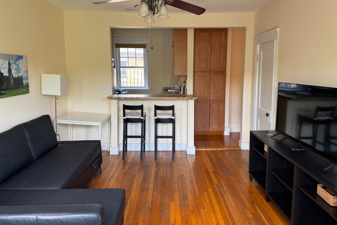 Living Room Photo 2 - Sunny Furnished One-Bedroom Apartment