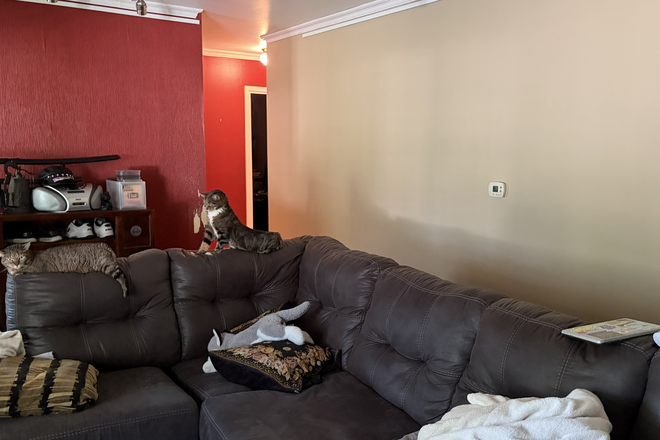 Living room couch and hallway view - 1808 Iroquois Trl - Room for Rent House