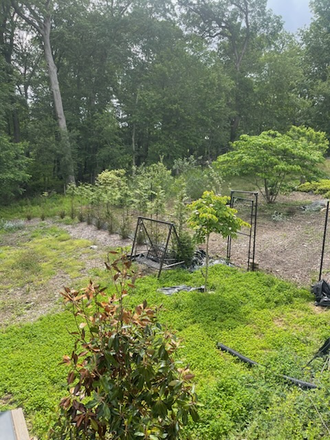 Backyard outside your front entranceway - 2 Bedroom Apartment for Rent in Country Setting