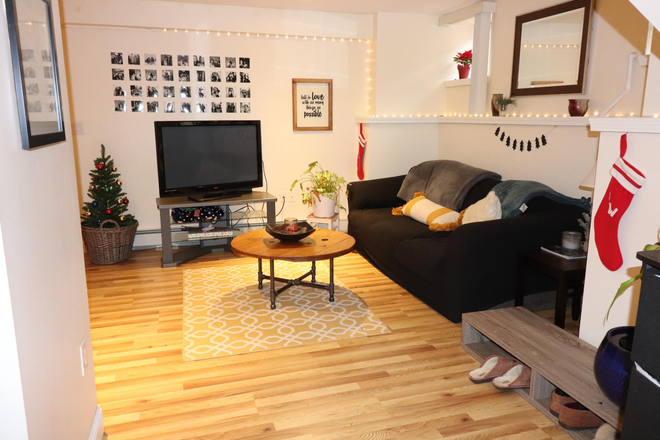 living room - Charming Coolidge Corner 2 bed with updated kitchen - 9/1 Apartments